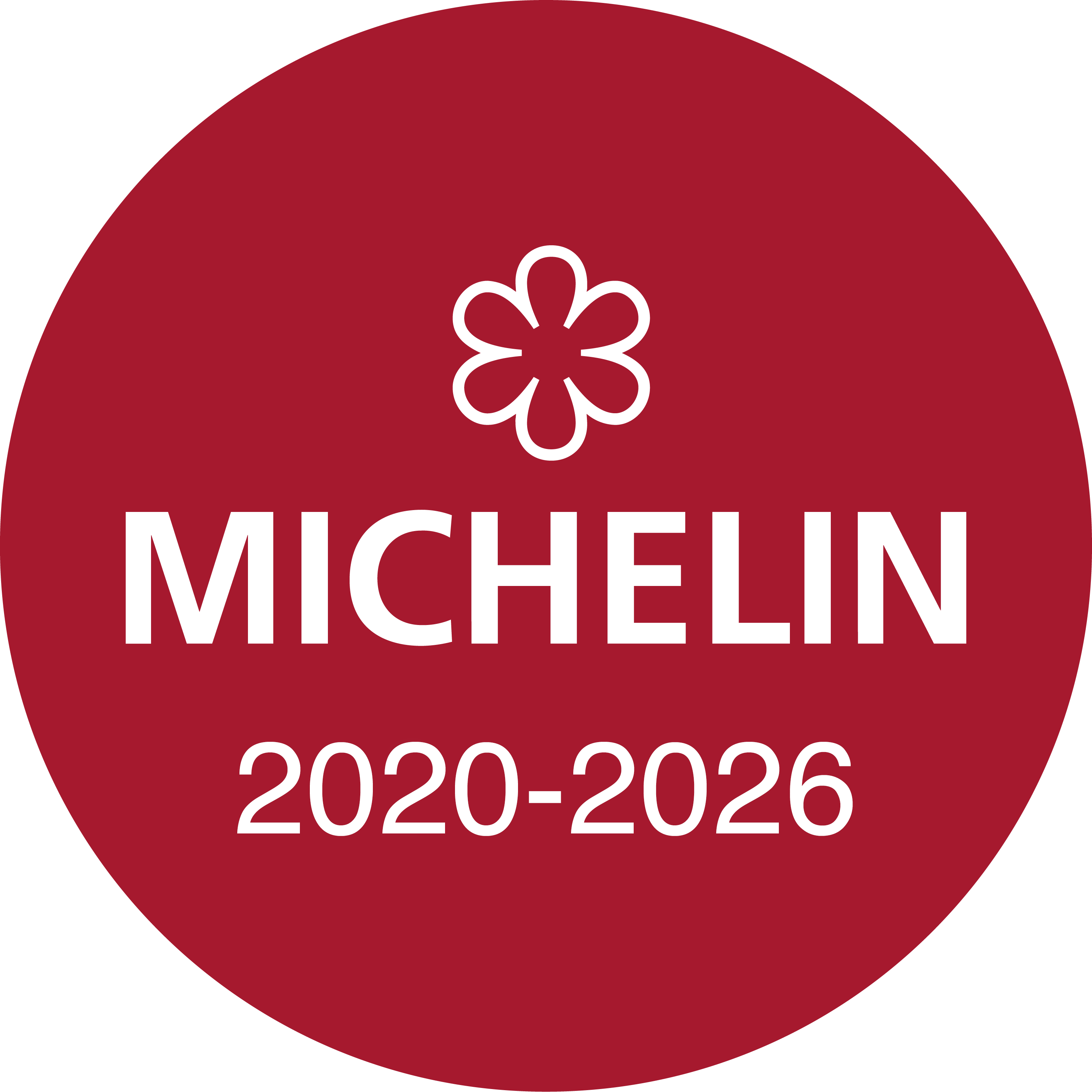 Michelin Guide